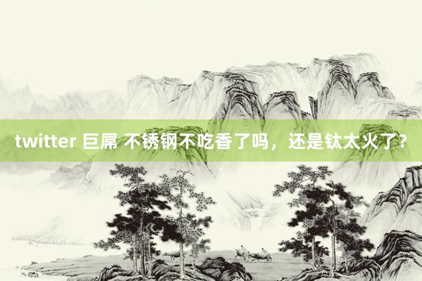 twitter 巨屌 不锈钢不吃香了吗,还是钛太火了?