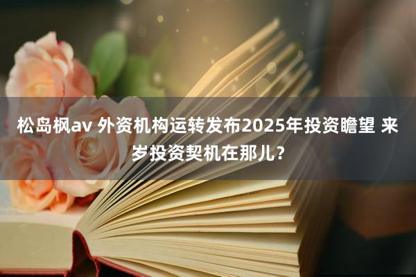 松岛枫av 外资机构运转发布2025年投资瞻望 来岁投资契机在那儿？
