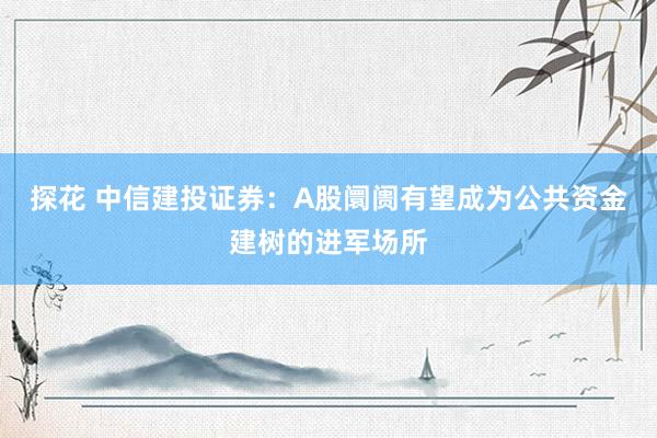 探花 中信建投证券：A股阛阓有望成为公共资金建树的进军场所