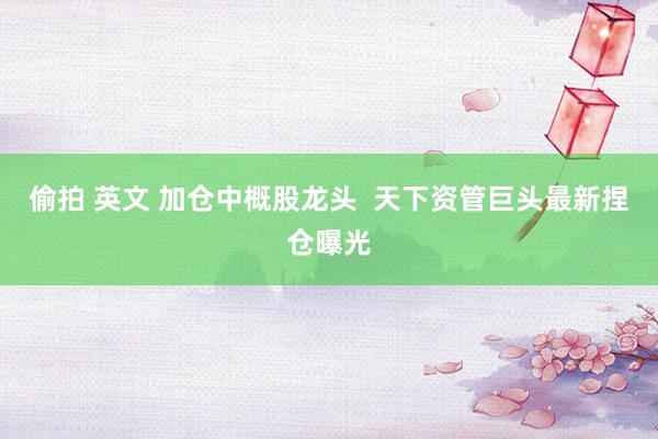 偷拍 英文 加仓中概股龙头  天下资管巨头最新捏仓曝光
