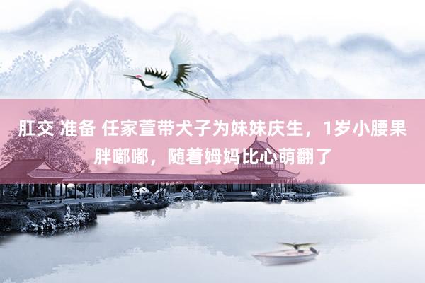 肛交 准备 任家萱带犬子为妹妹庆生，1岁小腰果胖嘟嘟，随着姆妈比心萌翻了
