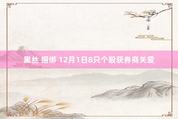 黑丝 捆绑 12月1日8只个股获券商关爱
