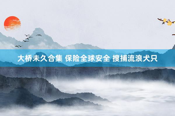大桥未久合集 保险全球安全 搜捕流浪犬只