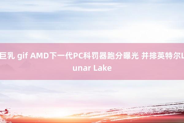 巨乳 gif AMD下一代PC科罚器跑分曝光 并排英特尔Lunar Lake