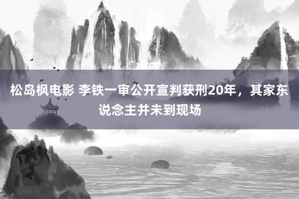 松岛枫电影 李铁一审公开宣判获刑20年，其家东说念主并未到现场