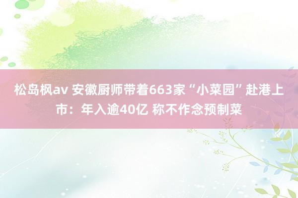 松岛枫av 安徽厨师带着663家“小菜园”赴港上市：年入逾40亿 称不作念预制菜