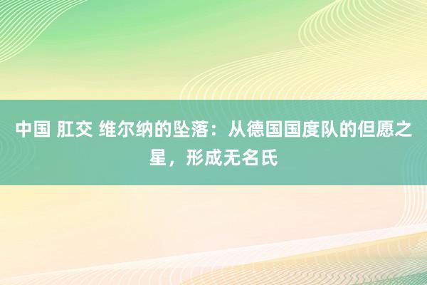 中国 肛交 维尔纳的坠落：从德国国度队的但愿之星，形成无名氏