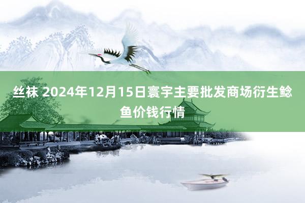 丝袜 2024年12月15日寰宇主要批发商场衍生鲶鱼价钱行情