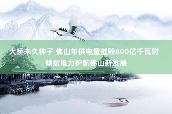 大桥未久种子 佛山年供电量摧毁800亿千瓦时  倾盆电力护航佛山新发展