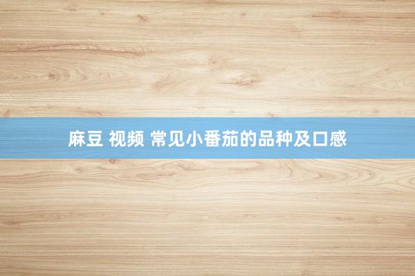 麻豆 视频 常见小番茄的品种及口感