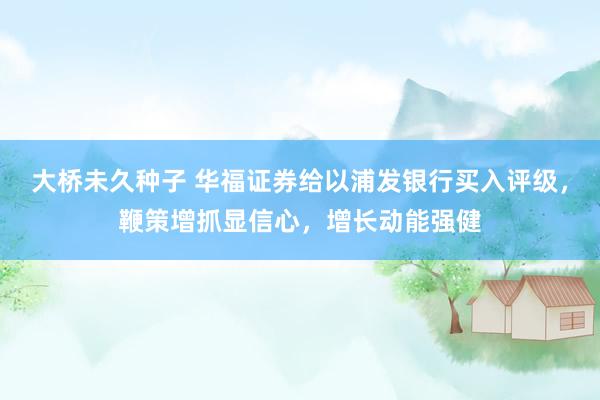 大桥未久种子 华福证券给以浦发银行买入评级，鞭策增抓显信心，增长动能强健