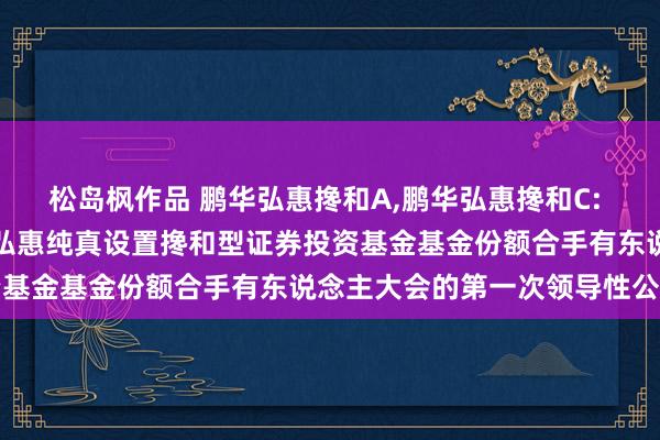 松岛枫作品 鹏华弘惠搀和A,鹏华弘惠搀和C: 对于以通信容颜召开鹏华弘惠纯真设置搀和型证券投资基金基金份额合手有东说念主大会的第一次领导性公告