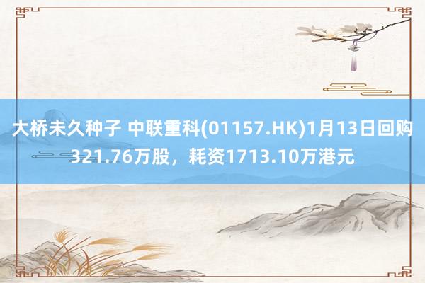 大桥未久种子 中联重科(01157.HK)1月13日回购321.76万股，耗资1713.10万港元